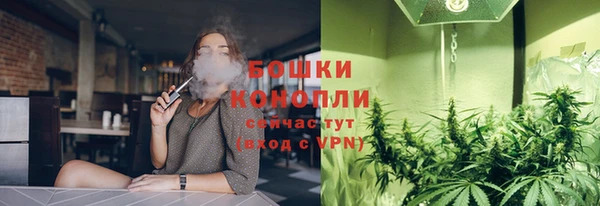 твердый Аркадак