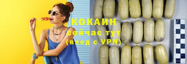 твердый Аркадак