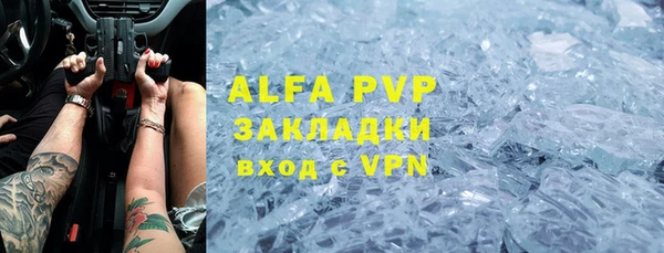 твердый Аркадак