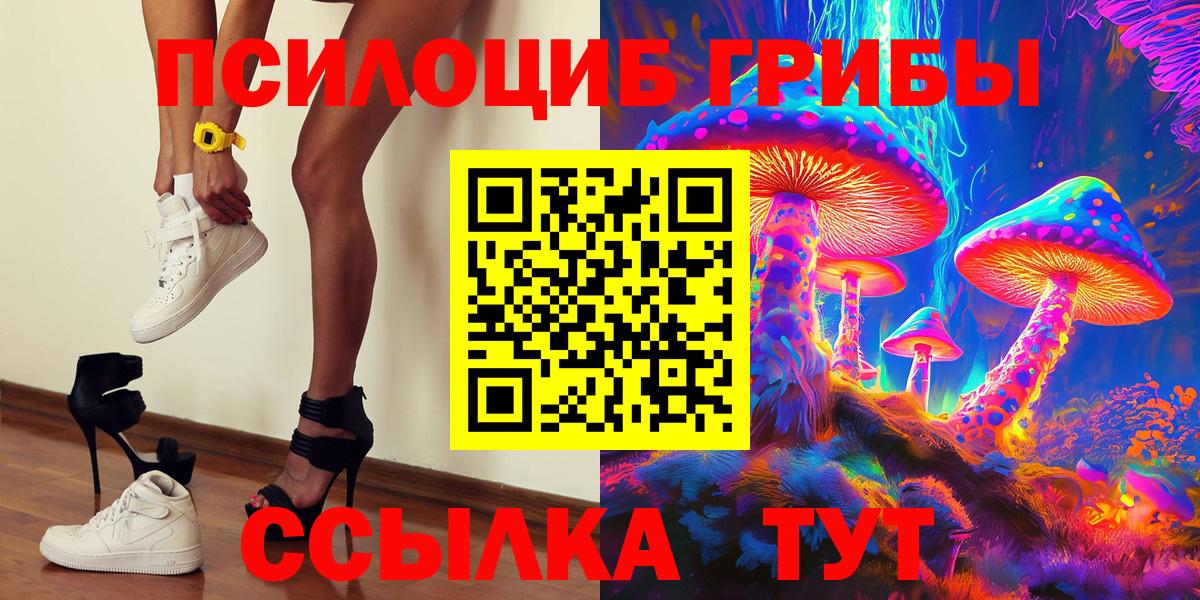 наркошоп  Псилоцибиновые грибы прущие грибы  Вход с VPN  Выкса  Псилоцибиновые грибы прущие грибы 