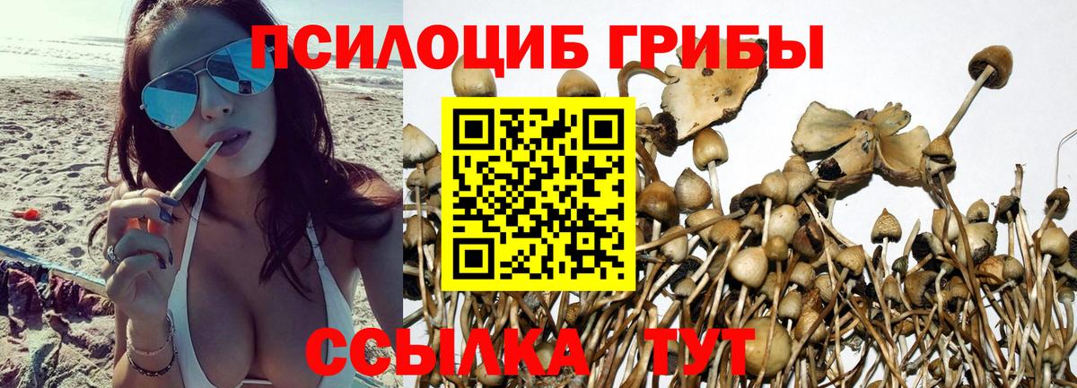 Псилоцибиновые грибы ЛСД Выкса